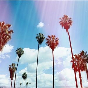 Meet your Posher, Christy